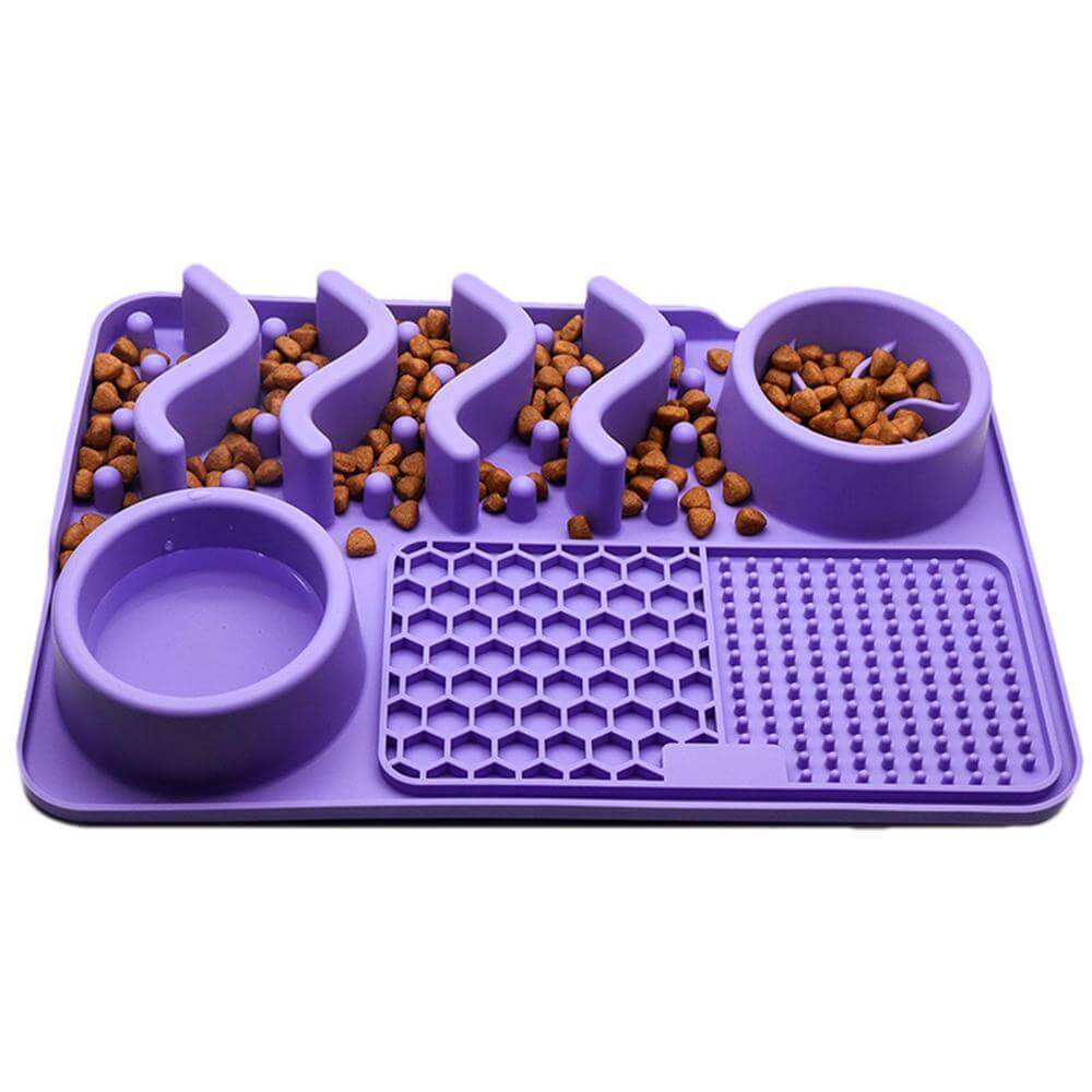 Multi-functional Pet Food Bowl Slow