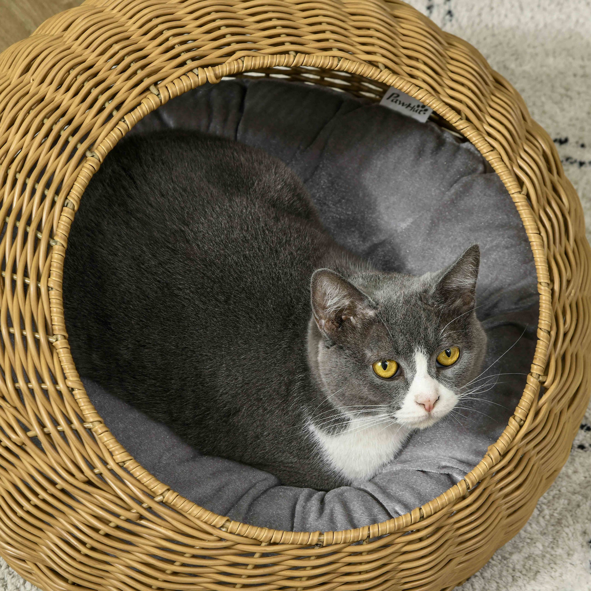 Woven Rattan Cat Bed – Indoor Round Cat Basket with Washable Cushion
