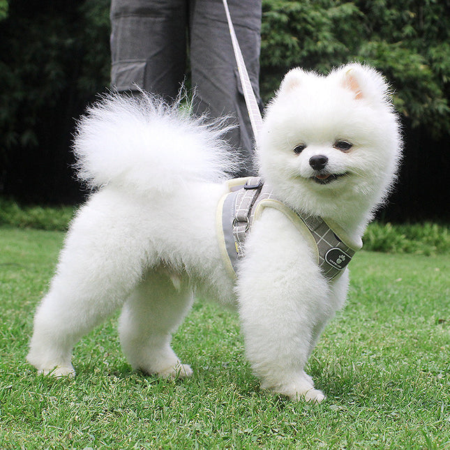 Soft Breathable Pet Harness & Leash Set – Reflective, Lightweight & Stylish (XS–XL)