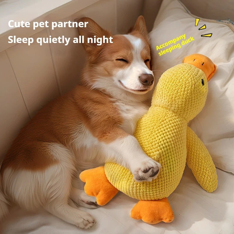 calming duck dog toy