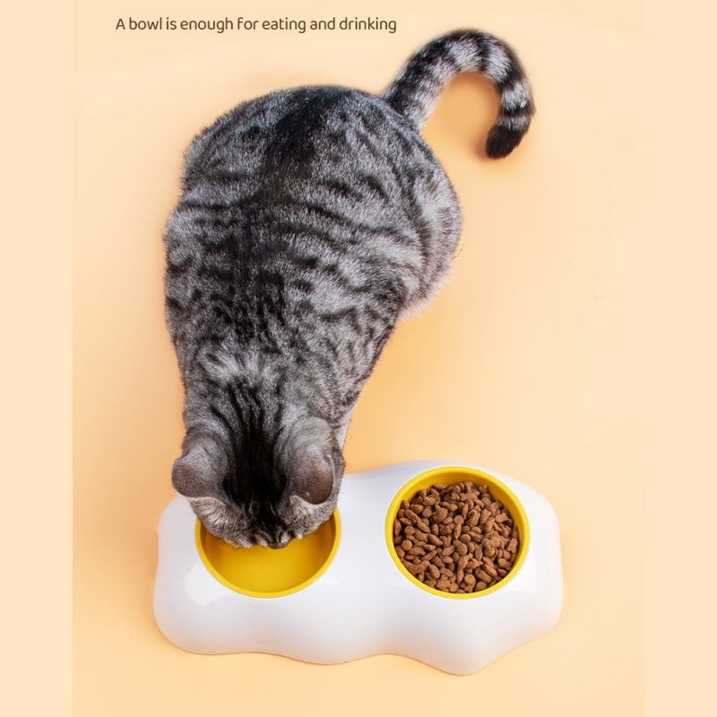egg yolk pet bowl