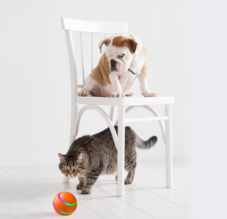 smart cat toy ball