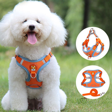 No-Pull Reflective Dog Harness with Leash
