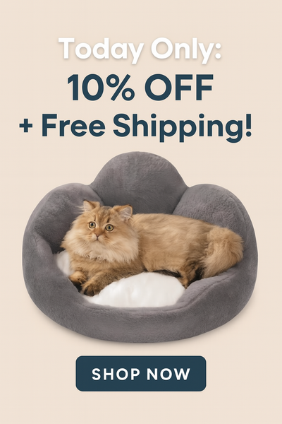 Today Only: 10% OFF + Free Shipping!