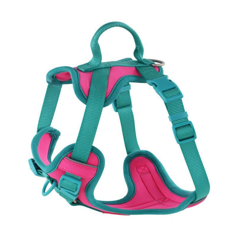 Dog Harness Leash Set