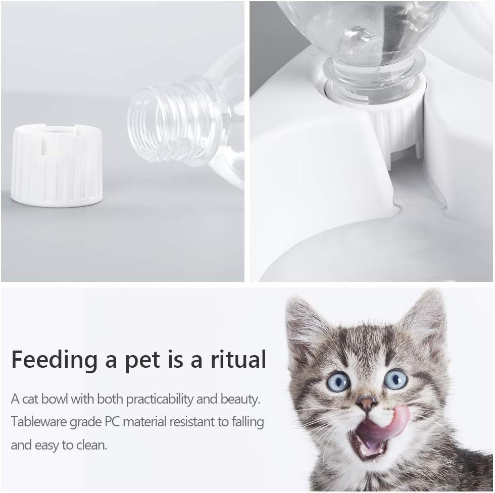 2-in-1 Cat Bowl with 17oz Water Dispenser