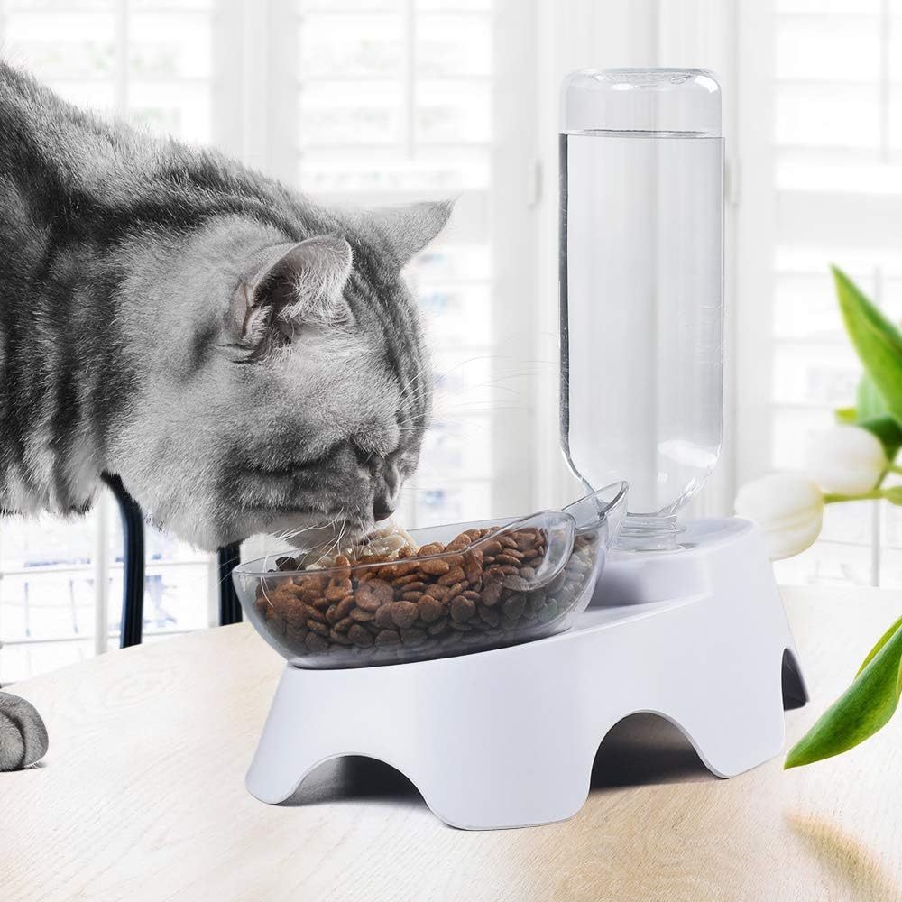 2-in-1 Cat Bowl with 17oz Water Dispenser
