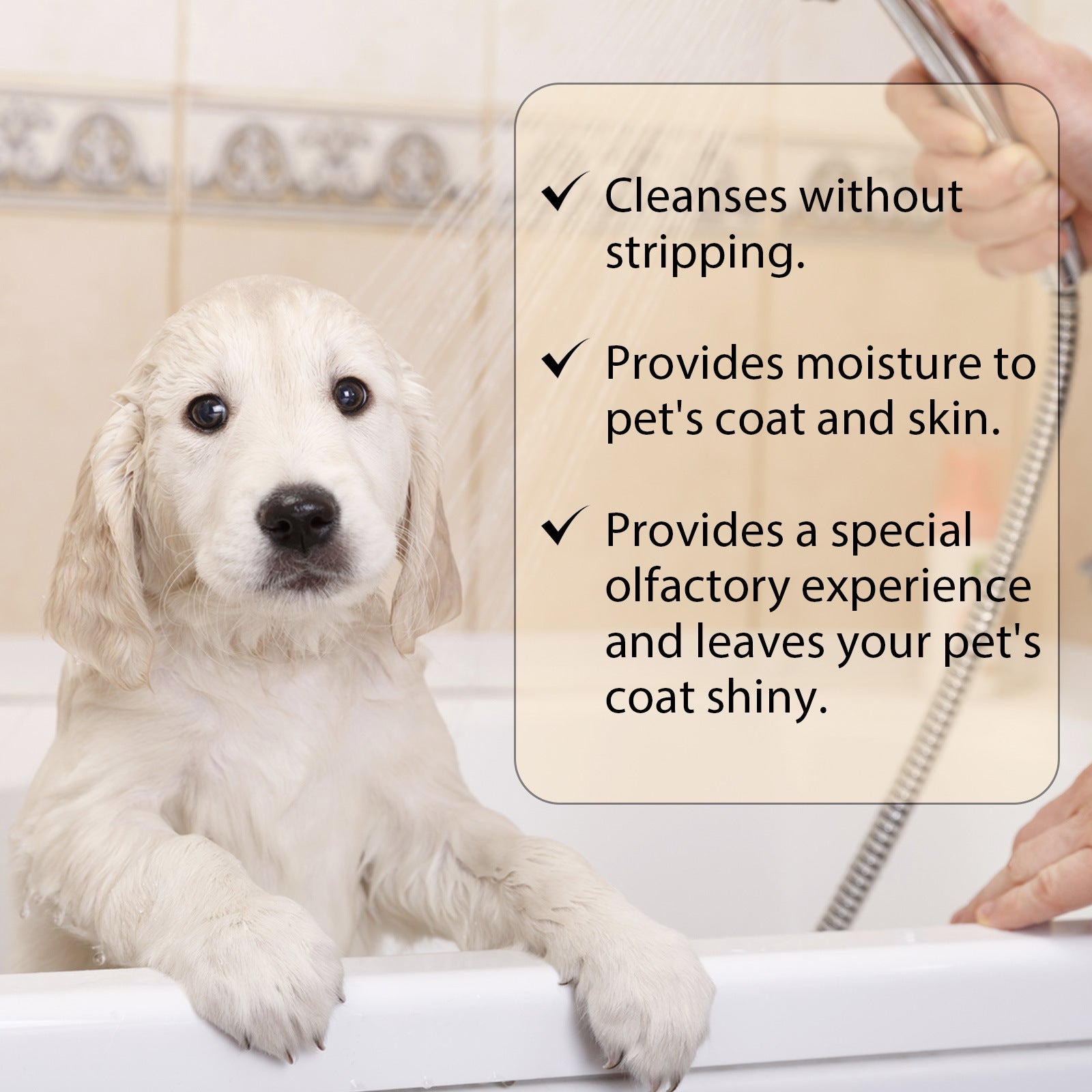 natural dog shampoo