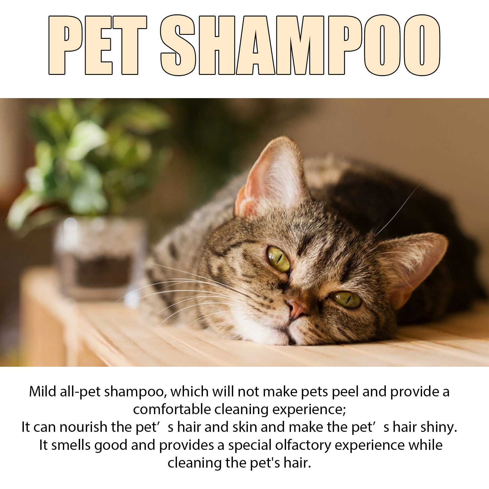 natural dog shampoo