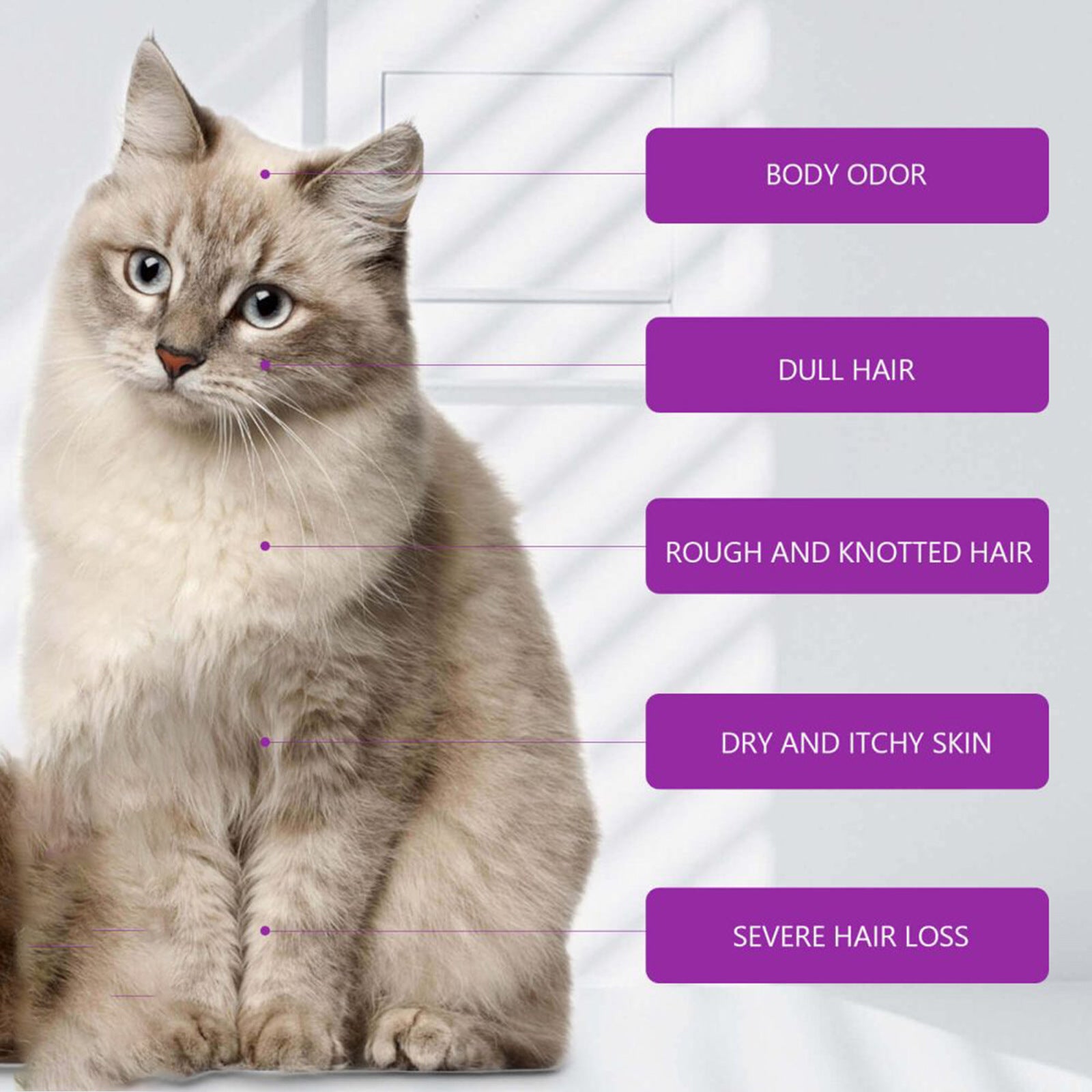 pet shampoo for itchy skin care