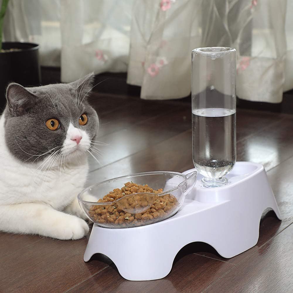 2-in-1 Cat Bowl with 17oz Water Dispenser