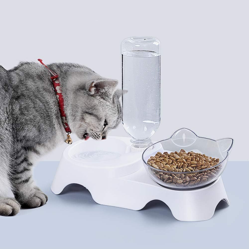 2-in-1 Cat Bowl with 17oz Water Dispenser